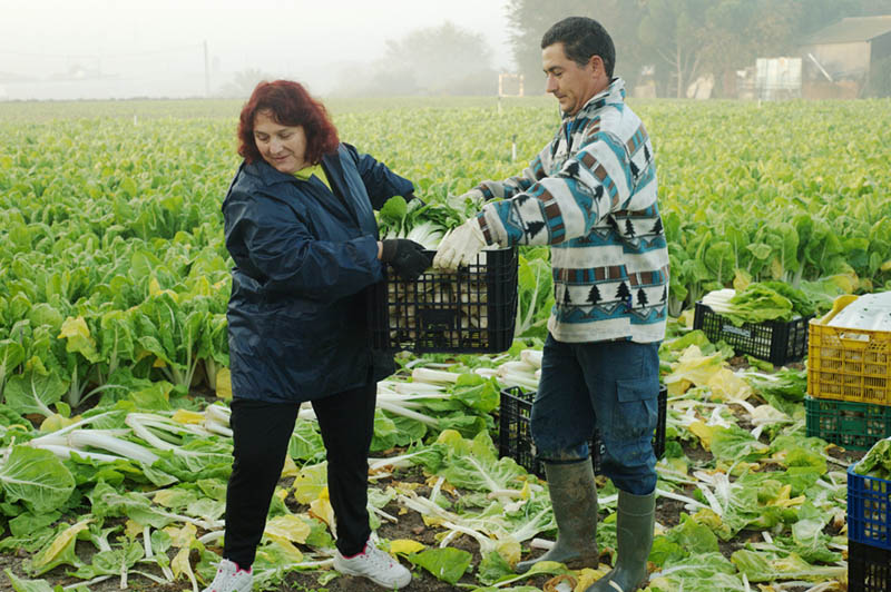 1582-2014-11-Cómete-Fuenlabrada-41