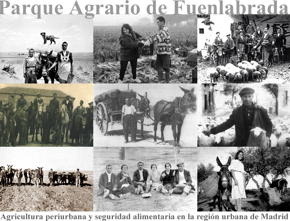 Parque agrario Fuenlabrada, agricultira madrid