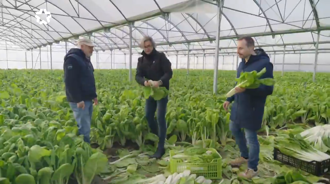 Visita del programa «Sabor a Madrid» de Telemadrid al Parque Agrario