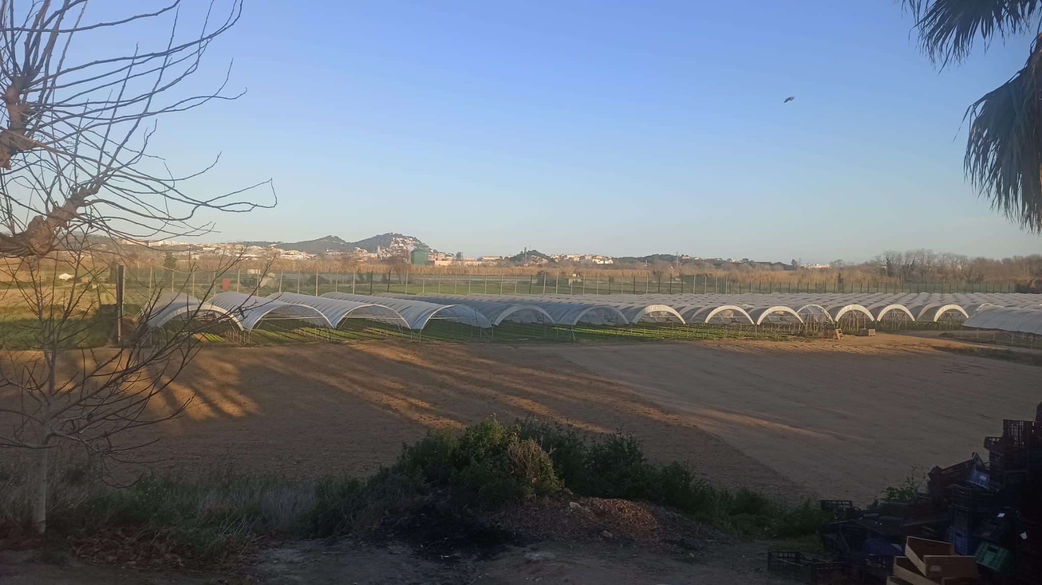 Visita por el cooperativismo agrario de Barcelona